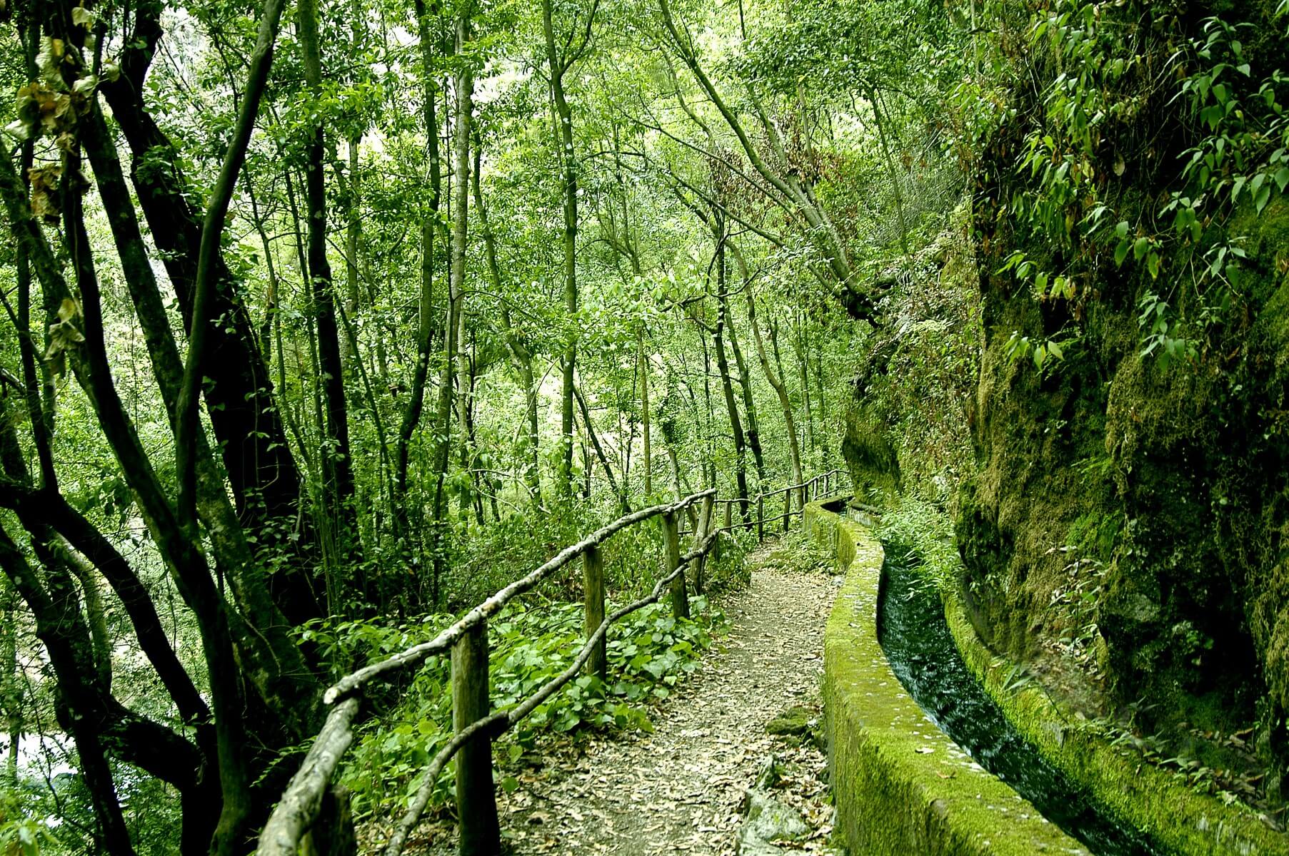 Parque Natural de las Nieves